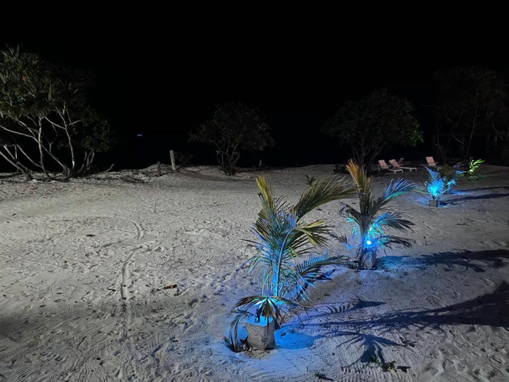 Jambo Beach Hotel Paje Ngoại thất bức ảnh